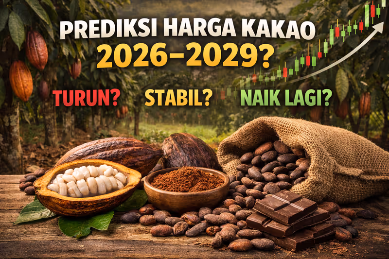 Prediksi Harga Kakao 2026–2029: Turun, Stabil, atau Naik Lagi?